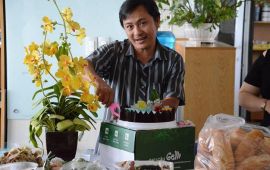 Rau Câu Dẻo Giòn Như Một Người Phụ Nữ Có Thể Là Bánh Sinh Nhật Tặng Bố Thật Độc Đáo !