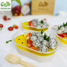 HỘP RAU CÂU DẺO TOPPING TRÁI CÂY  - GELLI - GOVAL04