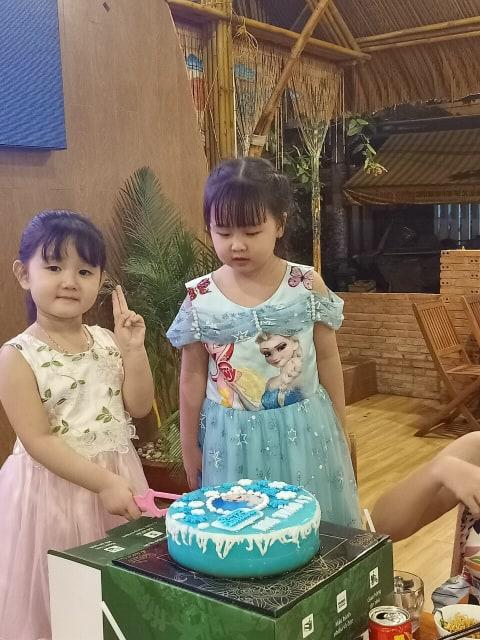 kham-pha-dieu-bi-an-trong-chiec-banh-sinh-nhat-elsa-1.jpg